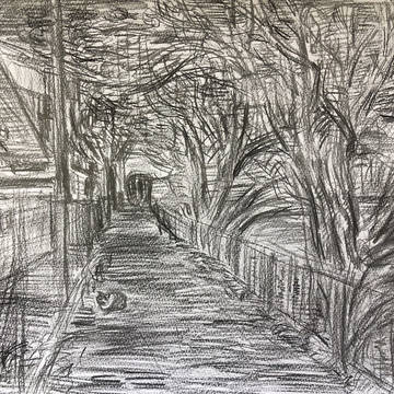 夜の散歩道