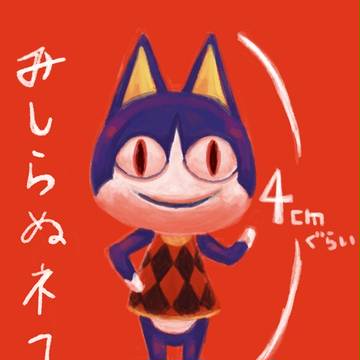 みしらぬネコ