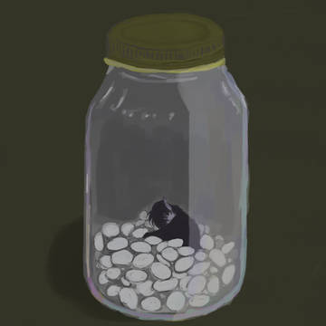 お薬の時間ですよ~