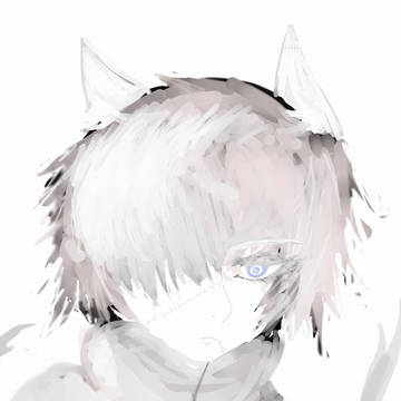 ウィザード・シャドウ・サルウィー