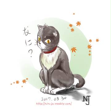 貓 2017/03/30