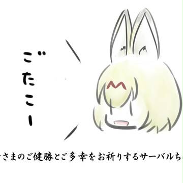 ごたこー