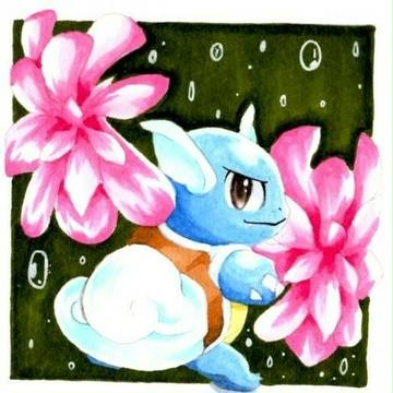 カメール