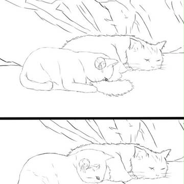 【银神】