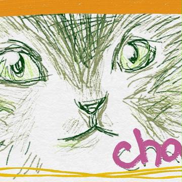 nekochan