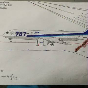 ANA 787手绘