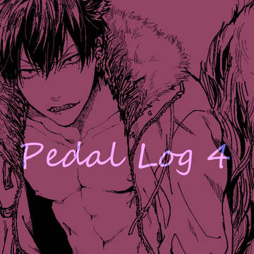 ペダルログ４