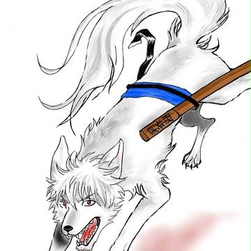 天パ犬