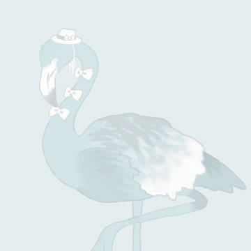 フラミンゴ