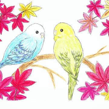 紅葉とインコ
