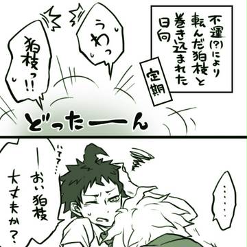 【狛日】９１センチ【王カム】