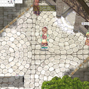 Ragnarok Online: Road to Monk