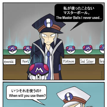 マスターボール保存