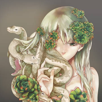 Medusa