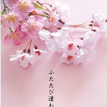 【通販開始】ふたたび逢はん【サンプル】