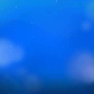 過去画像集め