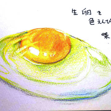 生卵を色えんぴつで