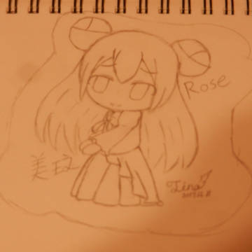 rose or 美玖