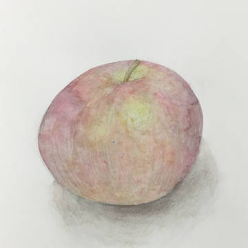 林檎