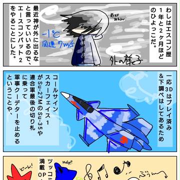 ひよコンバット その2