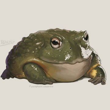 日々のお絵描きまとめ7