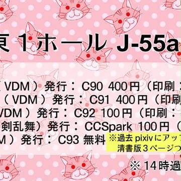 C93 Information