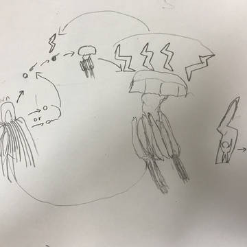 SCP-671-JP 電気くらげの夜
