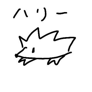 ハリネズミ