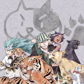 The Death and Cats