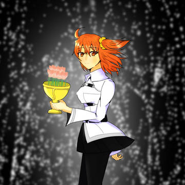 ロマぐだ♀とかソロぐだ♀とか中心のまとめ2017
