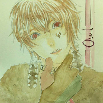 Owl
