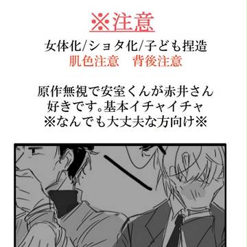[DC腐]安赤　rkgklog④