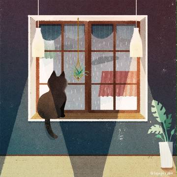 [雨猫]