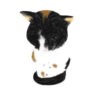 うちのねこです