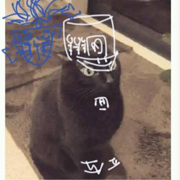 jo太喵