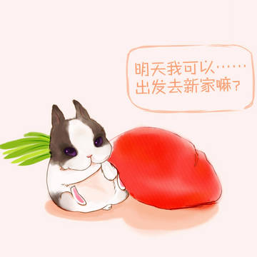 兔兔