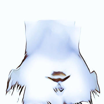 金木くん