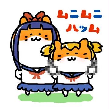ムニムニハッム