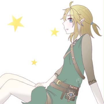 ゼル伝詰