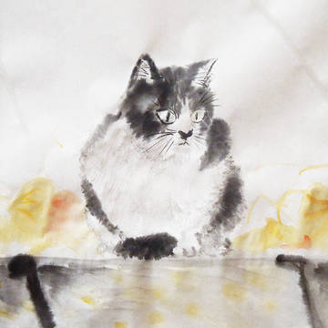 猫