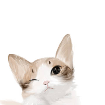 想养一只猫
