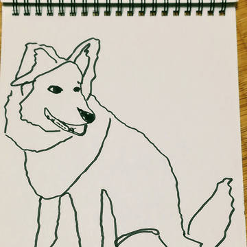 愛犬