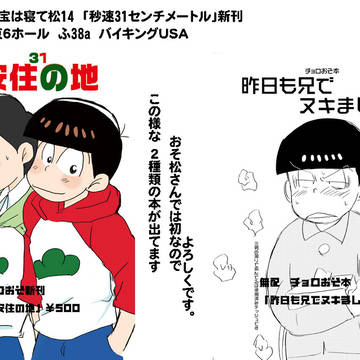 1/28 秒速31センチメートル の販売物など