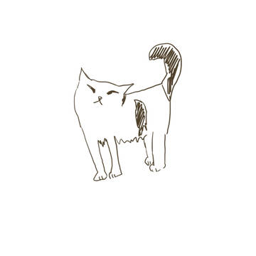 同僚のねこ