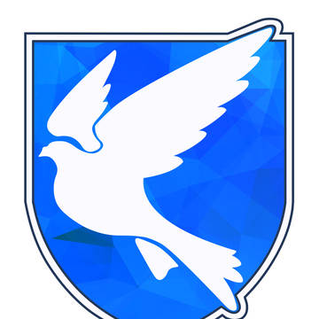 Ay-Pool emblem