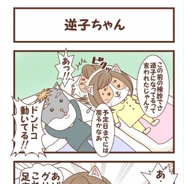 【ざっぱちゃんのマタニティ子育て日記㉔】