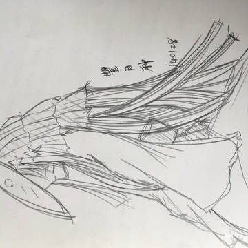 夏目友人帳