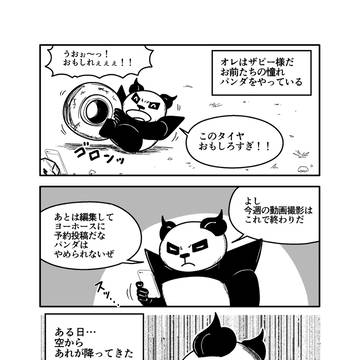 ヤバいパンダの自分語り レッサーパンダ道場のかけら