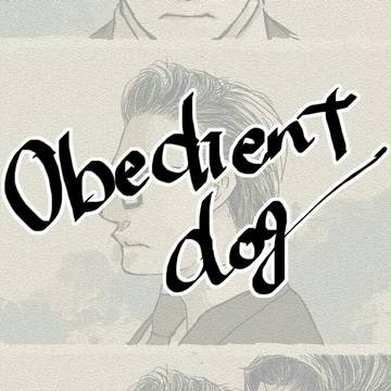 obedient dog