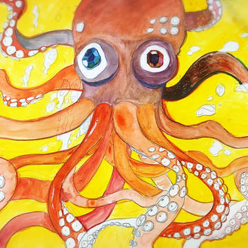 Octopus